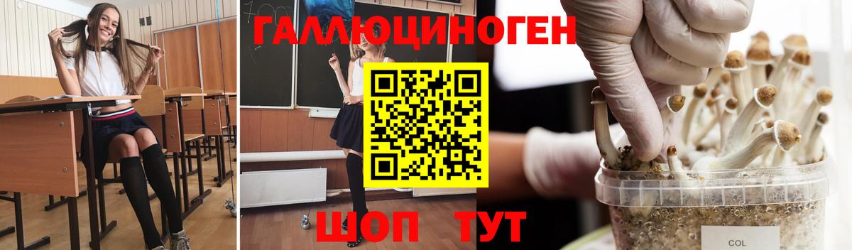 Туймазы  Галлюциногенные грибы мухоморы  Псилоцибиновые грибы Psilocybine cubensis  Вход с VPN 